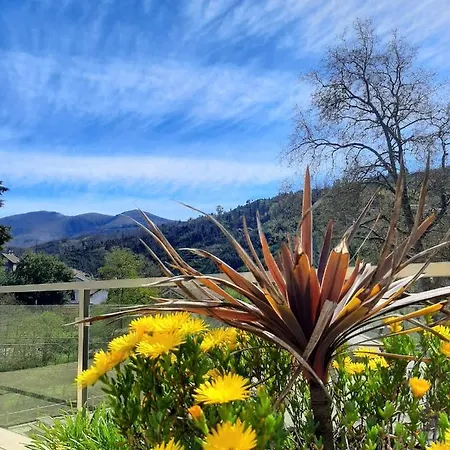 酒店 Alva Valley 奥利维拉多霍斯比托