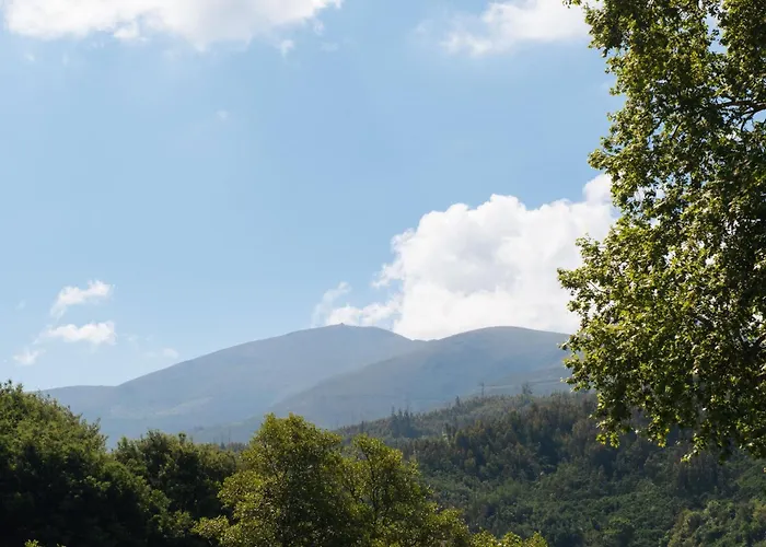 Alva Valley 4* אוליביירה דו הוספיטל